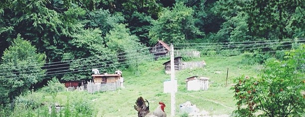 Parcul Natural "Grădiștea Muncelului - Cioclovina" is one of Parcuri Naționale și Naturale.