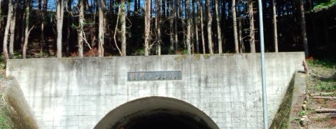 棡原トンネル is one of Lugares favoritos de Minami.