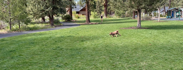 Central Oregon Canal Trail is one of Things to do in Bend.