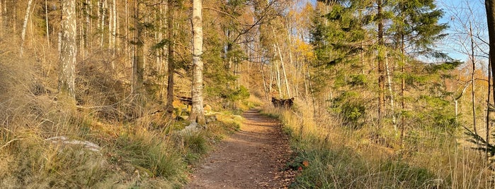 Nationalpark Harz is one of Region Hannover.