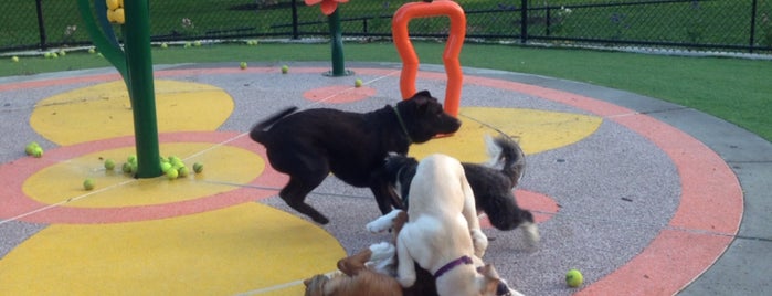 Beau's Dream Dog Park is one of Stuff to do.