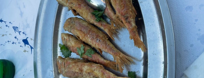 Ψαροταβέρνα η Τράτα is one of Food in Athens.