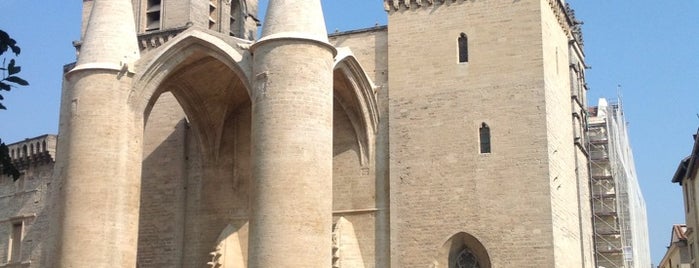 Cathédrale Saint-Pierre de Montpellier is one of Montpellier.