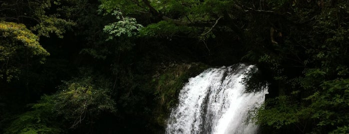 Kawazu Seven Falls is one of 静岡.