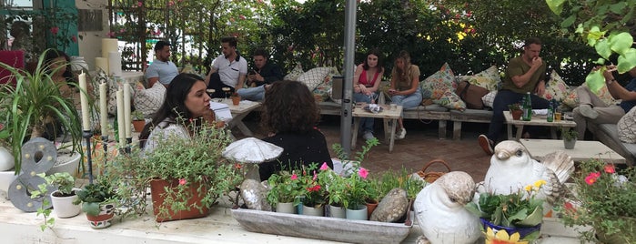 The 15 Best Italian Restaurants In Miami Beach The 15 Best Italian Restaurants In Miami Beach