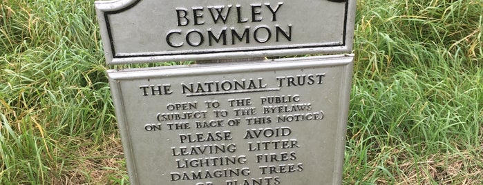 Bewley Common is one of Guide to Lacock's best spots.