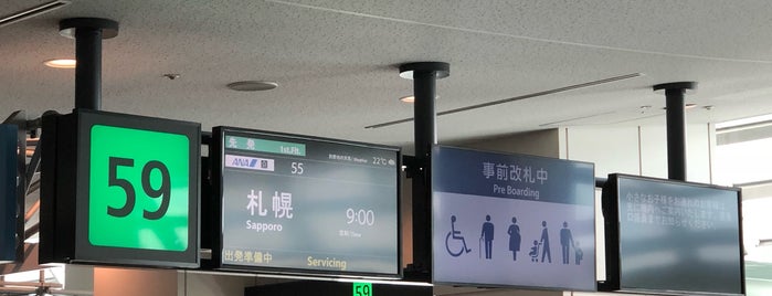 Gate 59 is one of 空港.