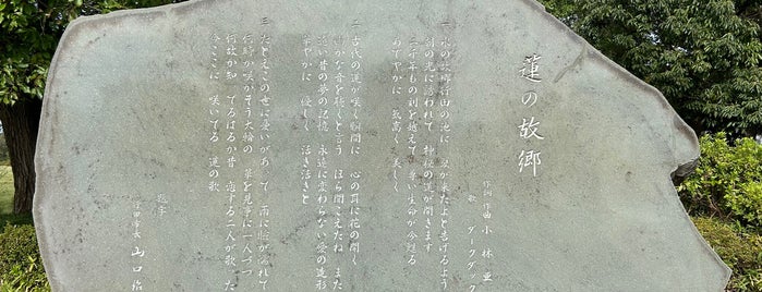 『蓮の故郷』歌碑 is one of モニュメント・記念碑.