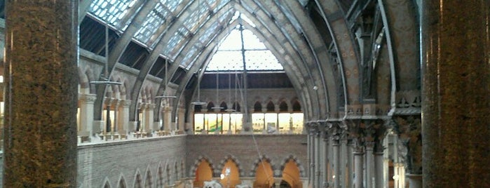 Oxford University Museum of Natural History is one of Oxford.