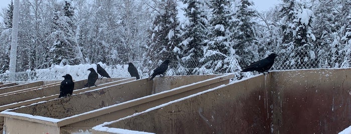 Farmers Loop West Transfer Station is one of Life Below Zero.