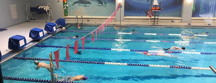 Chelsea Recreation Center Pool is one of David'in Beğendiği Mekanlar.