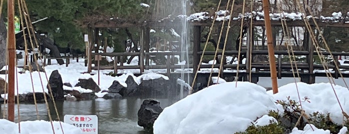 白山神社の池 is one of 新潟に行ったらココに行く！ Vol2.
