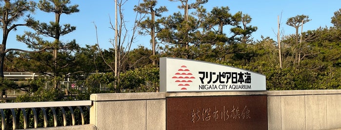 Niigata City Aquarium Marinepia Nihonkai is one of 公園.
