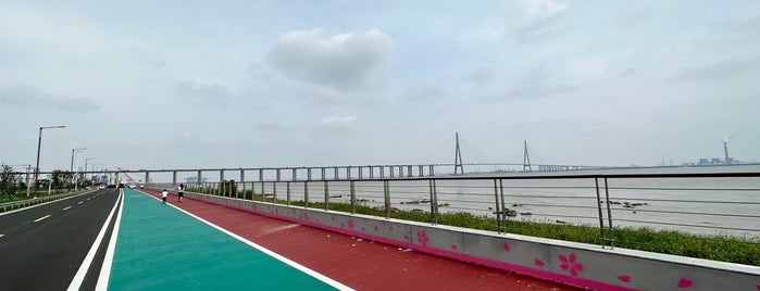 Sutong Yangtze River Bridge is one of Been Before（Jiangsu）.