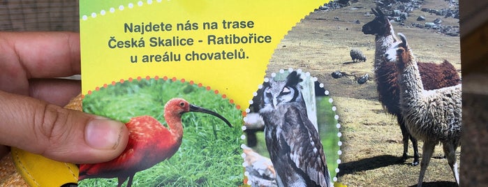 Česká Skalice is one of Mijn locaties..