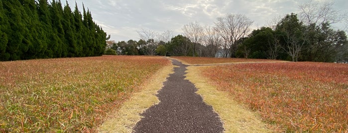 Sakaki Park is one of 豊橋技術科学大学 20130304.