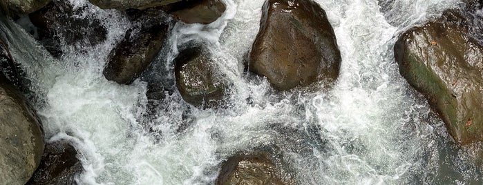 Poring Hot Spring & Nature Reserve is one of kundasang.