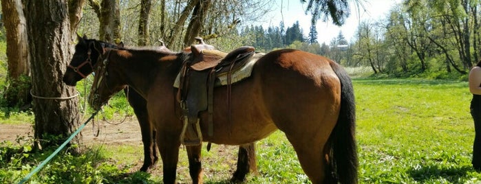 Post Canyon Staging Area is one of Lieux qui ont plu à MLO.