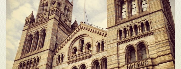 Natural History Museum is one of England (insert something witty here).