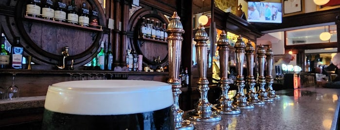 The Swan Bar is one of Proper Dublin Pubs.