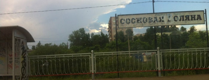 Сосновая Поляна is one of Denis's Saved Places.