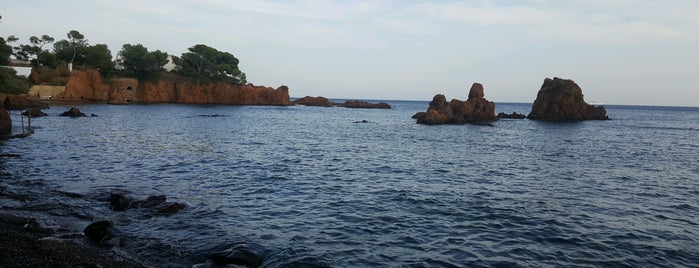 Calanque des Anglais is one of สถานที่ที่ Eléonore ถูกใจ.