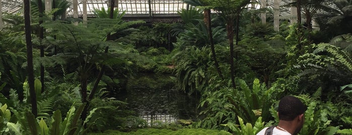 Garfield Park Conservatory is one of Favorite Places in Chicago.