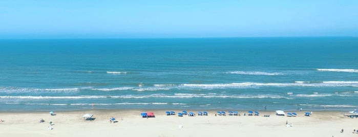 South Padre Island, TX is one of Lieux qui ont plu à Andrea.