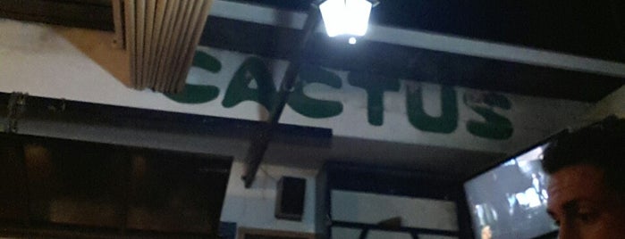 Bar Cactus is one of #myhints4Mallorca.