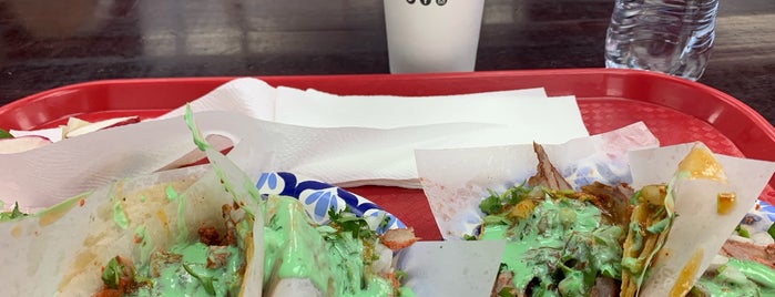 Tacos El Gordo is one of The Next Big Thing.