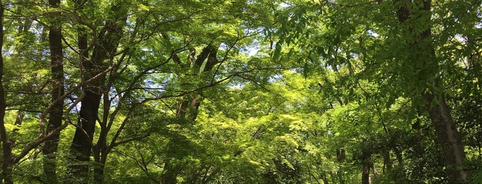 糺の森 is one of Kyoto.