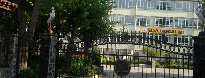 Yalova Anadolu Lisesi is one of Yalova/Çınarcık.
