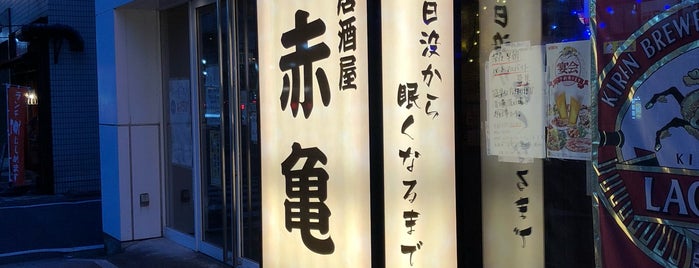 高崎上州名物酒場 赤亀 is one of Restaurant.
