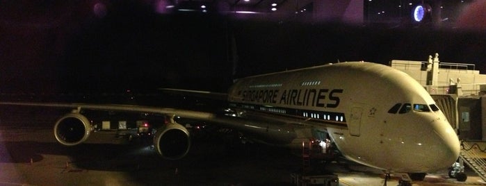 SQ231 SIN-SYD / Singapore Airlines is one of SQ Flights Departing SIN.