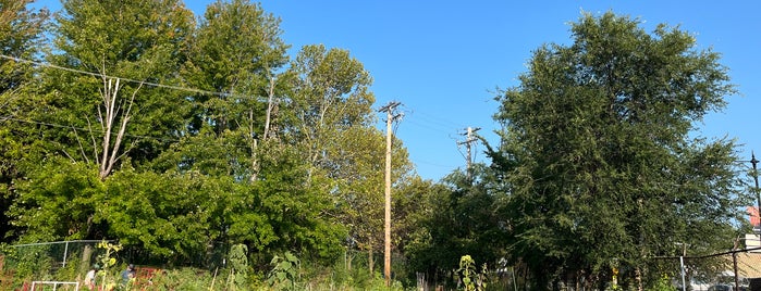 Albany Park is one of Lieux qui ont plu à Leslie.