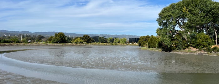 Anza Lagoon is one of Outside Lands.