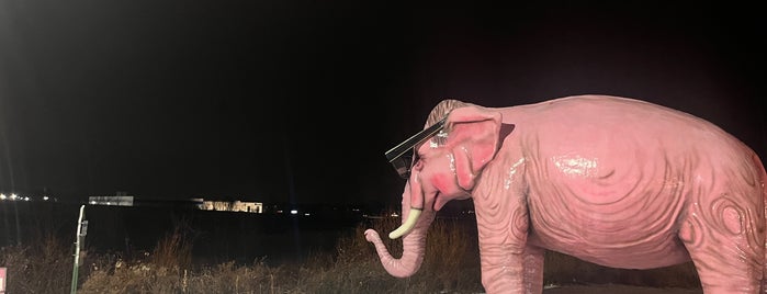 Pink Elephant Statue is one of Places I've Been To.