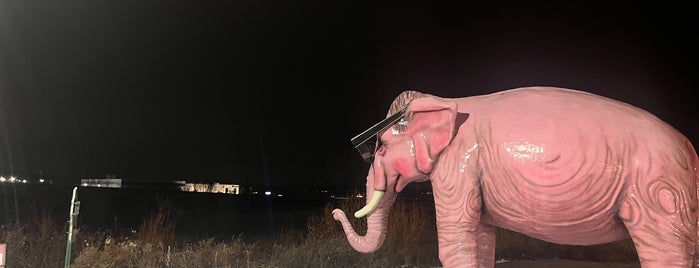 Pink Elephant