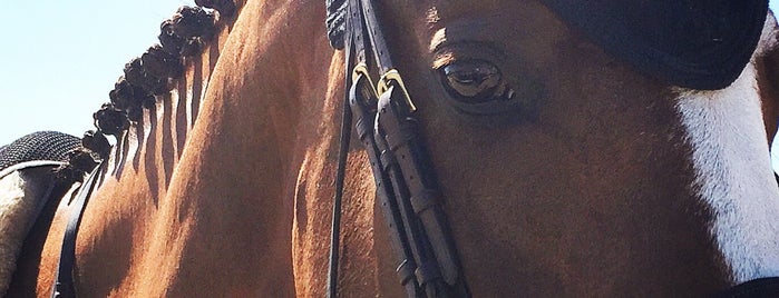 Concurso Hipico Internacional Vilamoura is one of Eventos Equestres - Horse Events.