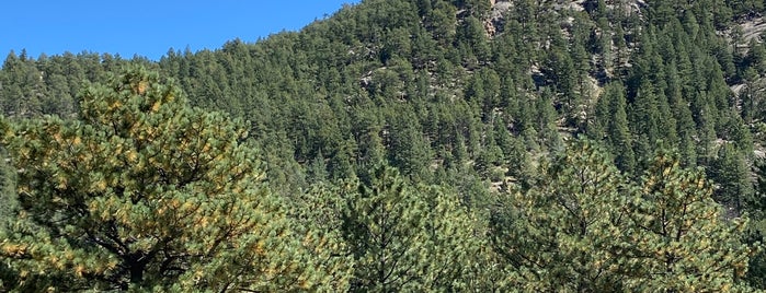 Roosevelt National Forest is one of Active.