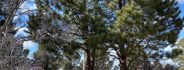 Castlewood Canyon State Park is one of Christine does Colorado.