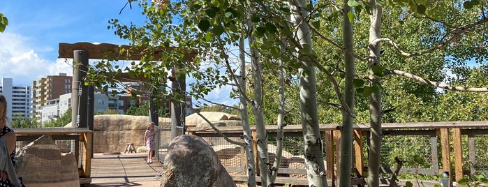 Mordecai Children's Garden is one of Colorado with Kids.
