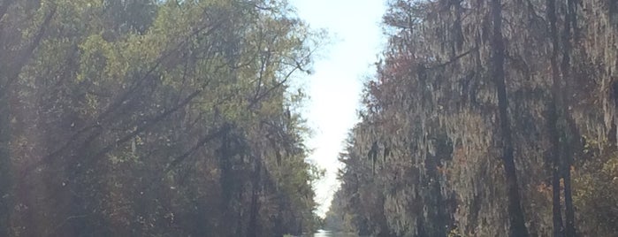 Bayou Des Allemands is one of Local Areas.