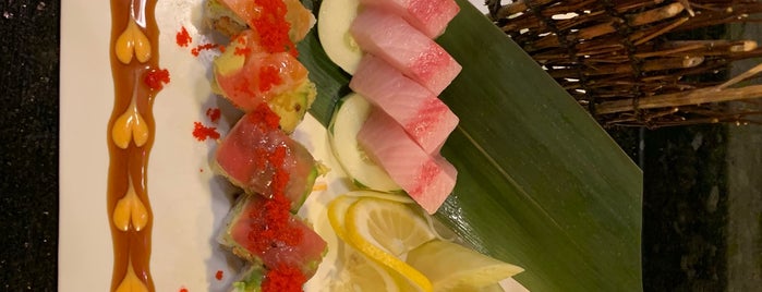 Osaka Japanese Restaurant is one of The 15 Best Places for Jumbo Shrimp in Lexington.