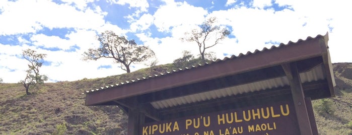 Kipuka Pu'u Huluhulu is one of Lieux qui ont plu à Dan.