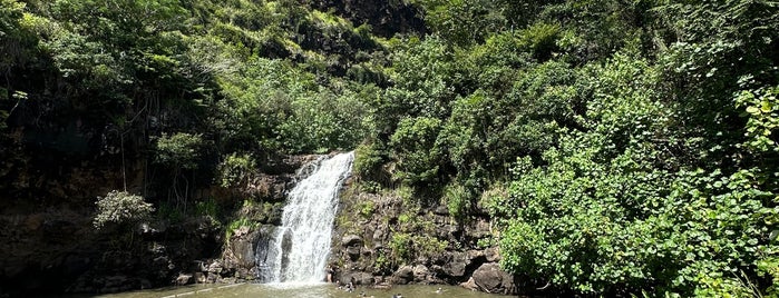 Waimea Valley Waterfall is one of Oahu Hot Spots.