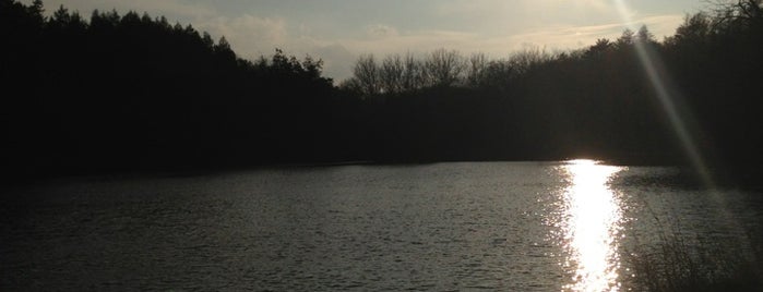 Lake Marmo is one of Locais curtidos por Mark.