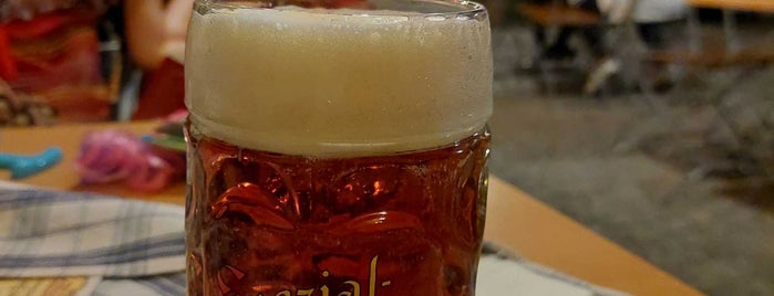 Brauerei Spezial is one of Bamberg.