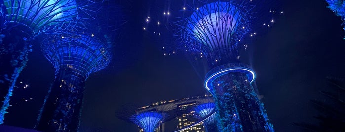 Supertree Grove is one of Singapore 2017.