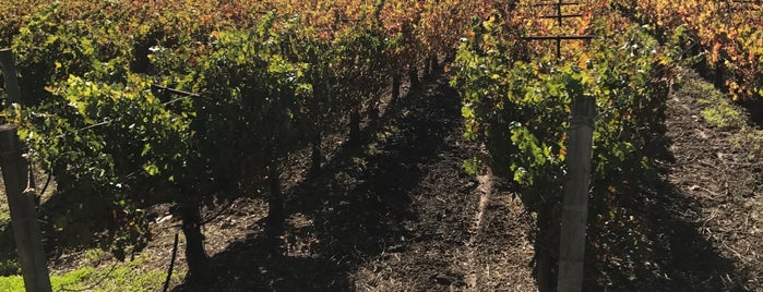 Martin Ranch Winery is one of Santa Cruz Mtn Wineries.